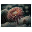 Une fleur de gerbera rose en hiver I - Impression sur toile-1198224412-1199372141