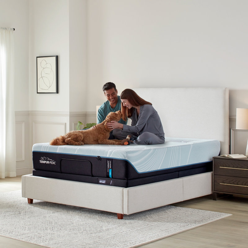 TEMPUR-ProAdapt® Soft 12" Mattress, California King