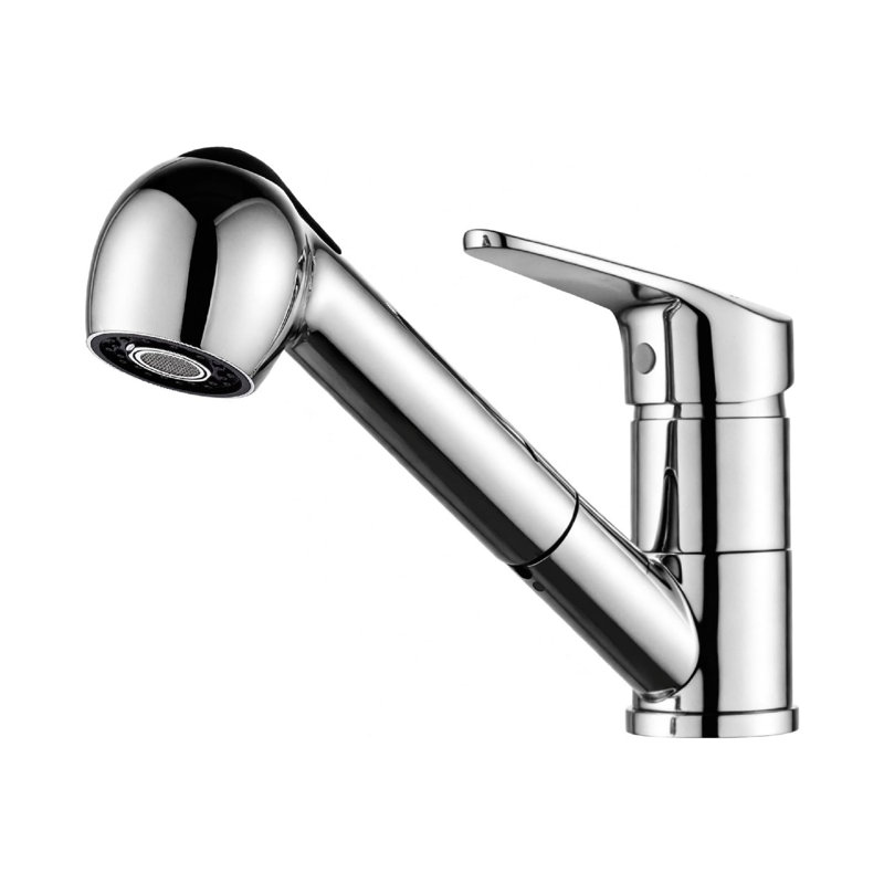 Brayden Studio Kitchen Faucet