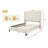 Modern/Contemporary Bed