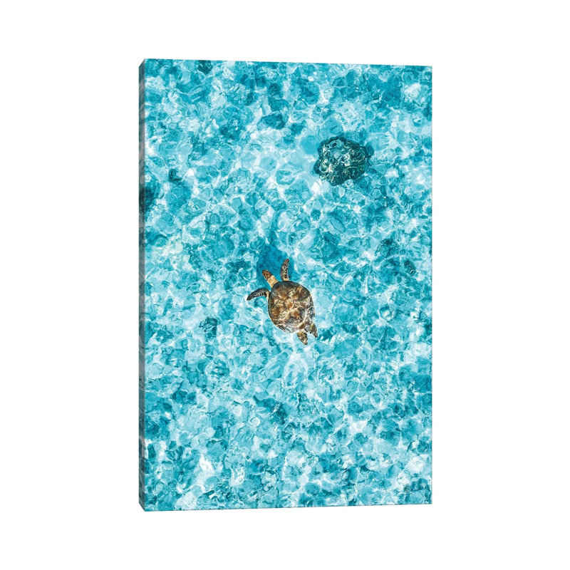 Aerial Great Barrier Reef Island Turtle 1 Piece Wrapped Canvas Wall Art, 30.48cm H x 20.32cm W