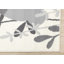 Tapis neutre neutre-102157834