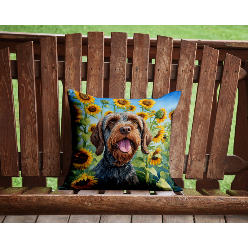 Other/No Pattern Indoor/Outdoor Throw Pillow, 14" H x 14" W