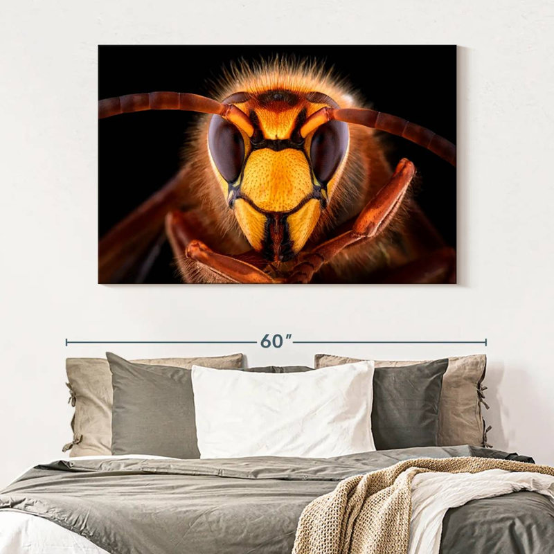Brampt European Hornet Head