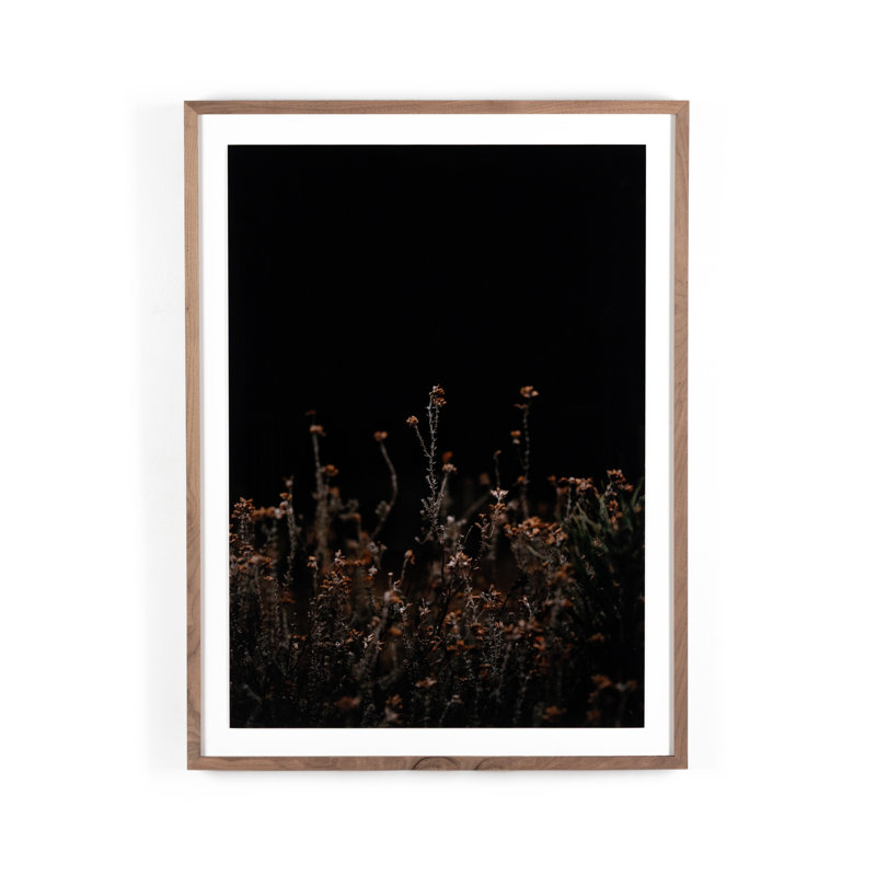 Escape I Print by Annie Spratt