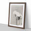 Two Cranes by Ito Jakuchu - Framed Print-55614616-55614613