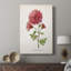Botanical III - galerie Cavas sur mesure-1963687681