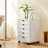 18'' Wide 5 -Drawer Mobile File Cabinet-99325173