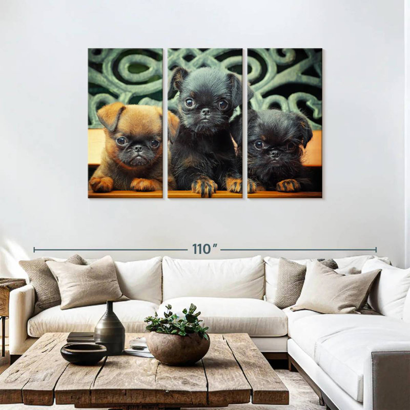 Griffon Puppies, 48" H x 74" W