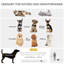 Pet Carrier with 2 Doors