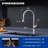 Single Handle Kitchen Faucet with Pull-Down Sprayer