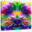 Brampt Colorful Yorkie-109358017