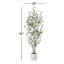 Eucalyptus artificiel Adalia en pot blanc-1625747319