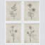 Fleurs abstraites botaniques encadrées sur papier, impression de 4 pièces-97782705-97782704