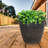 Blough 24" x 24" x 20" Round Polyresin Outdoor Planter Pot - Dark Brown-1719009624-1719009895