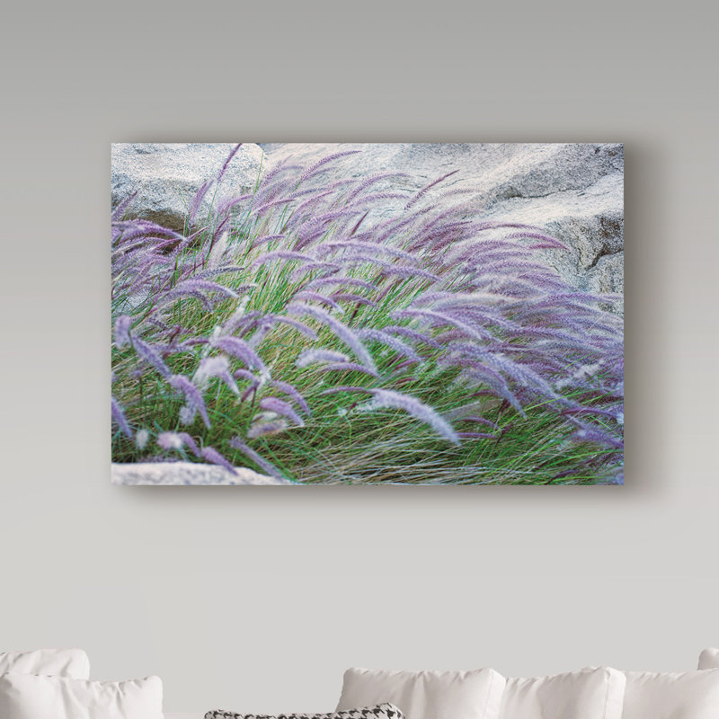 « mauve wild herbe ii », reproduction de photo sur toile tendue, H 12 po x l 19 po x P 2 po