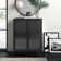 Wade Logan® Anabelli Metal Accent Cabinet & Reviews | Wayfair