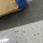 Photos des clients 2 de 2