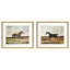 Equestrian III Framed Print