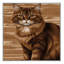  Tapis lavable pour chats birmans-405153875