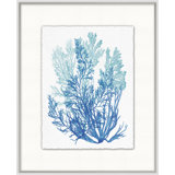 Azure Ocean Herbarium 5' Framed Graphic Art Print on Glass