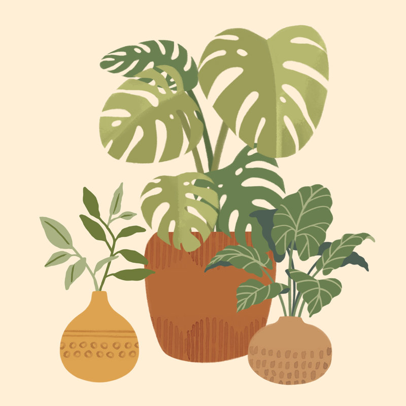 Happy Plants - Wrapped Canvas Art Prints, 91cm H x 91cm W