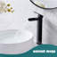 Vessel Bathroom Faucet with Drain Assembly