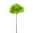 Vert sélectionné