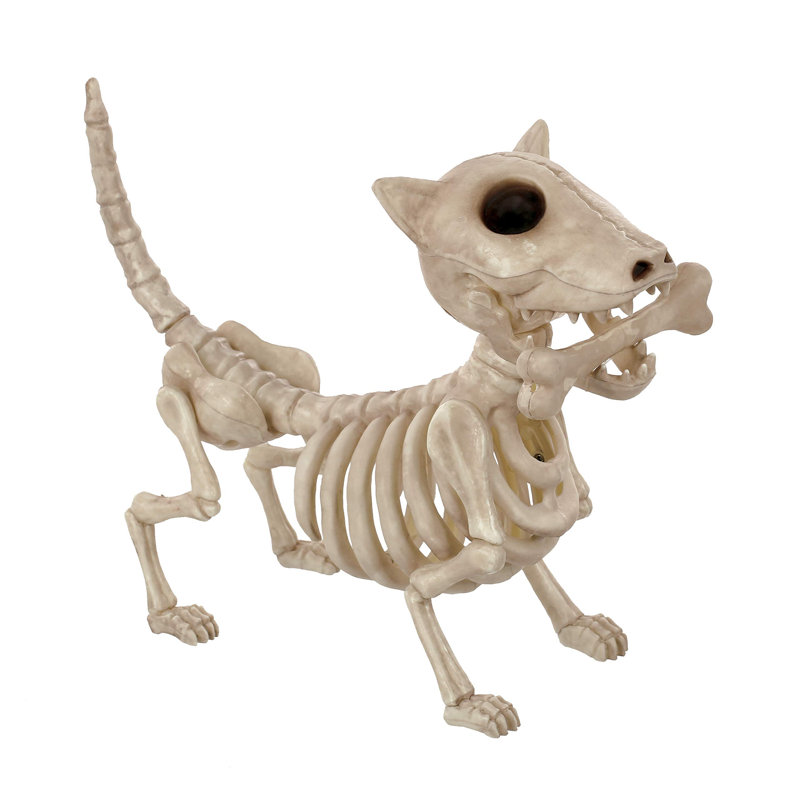 Figurine Airlia Crazy Bonez