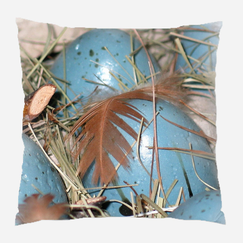Carmen Outdoor Reversible Throw Pillow, Microsuede, Indoor