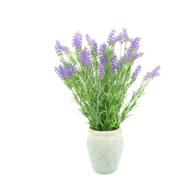 Lavender Floral Arrangement