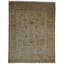 Oriental Area Rug in Ivory