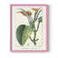 Turpin Tropical Botanicals II Framed Print - Solid Wood-2106122125-2106122117