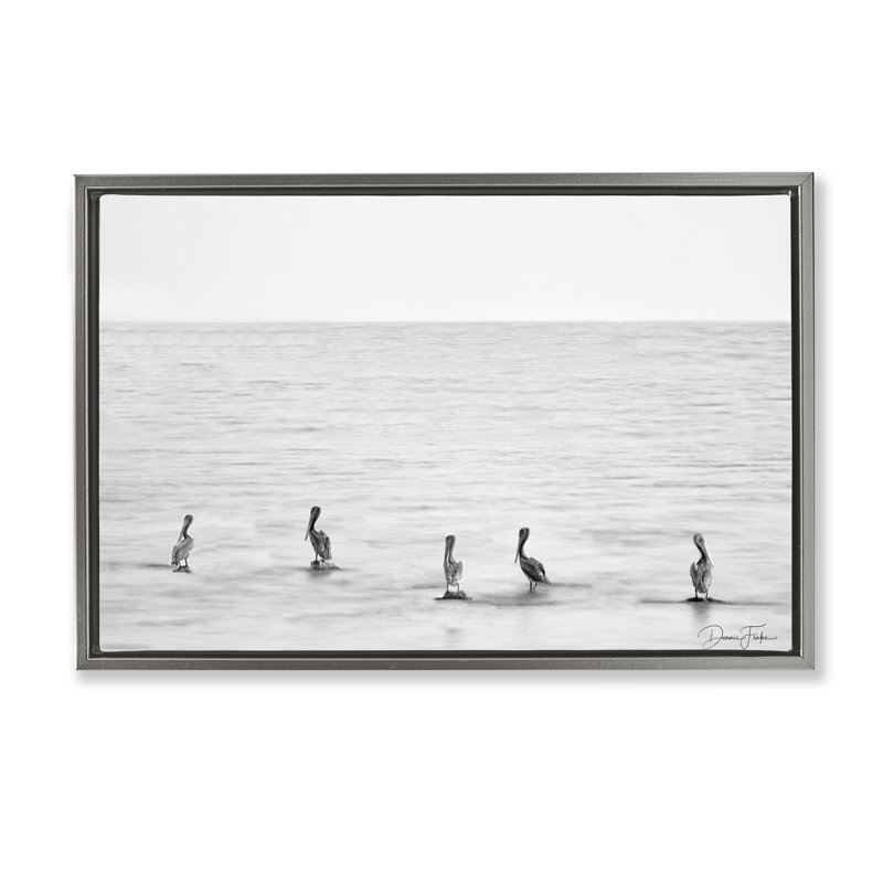 «Pelicans on Shore», toile flottante encadrée par Dennis Frates, Cadre flottant gris lustré, H 17 po x l 25 po