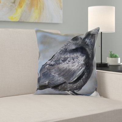 Coussin raven commun