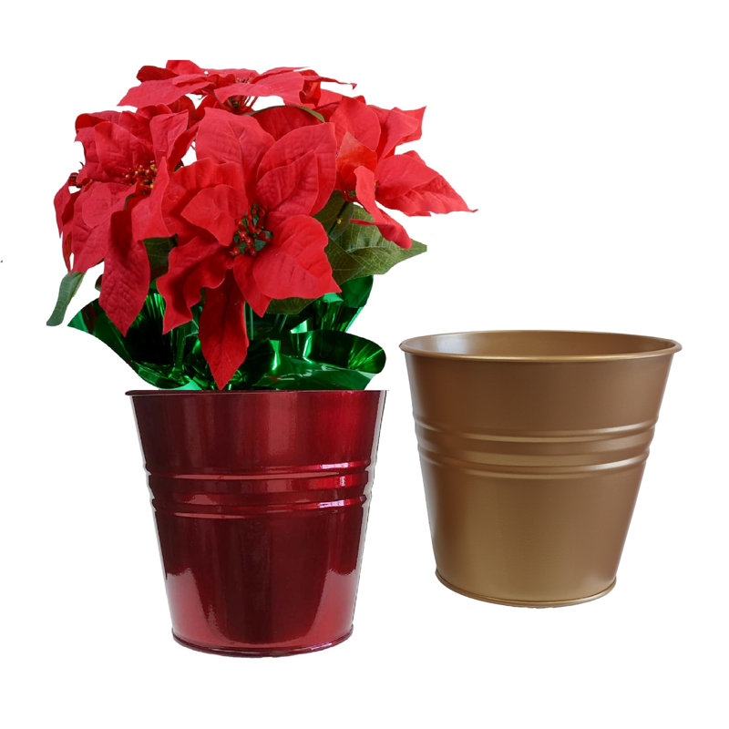 Enameled Galvanized Steel Planter For 6.5" Plants. Set Of Two, Red/Gold
