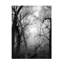 Art sur toile Roseanne Jones Winter Branches-104118925