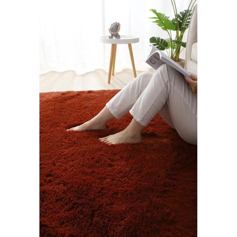 Tapis moelleux en fausse fourrure Quinn Luxury, Tapis de couloir 2 pi 6 po x 5 pi