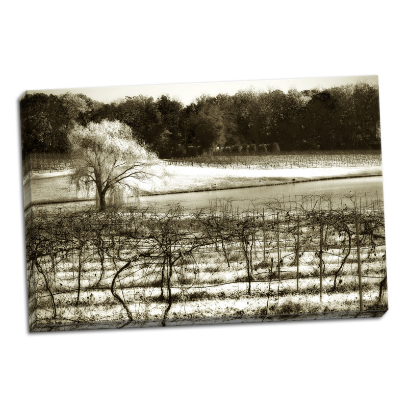 « vineyard ii », reproduction de photo sur toile tendue