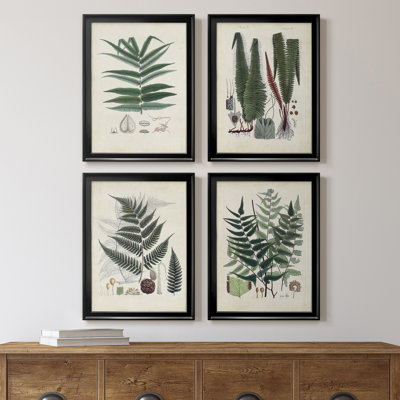 Collection de fougères ix - ensemble de 4 peintures sur toile encadrées