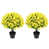 Jaune