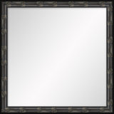 Adelaide Mirror
