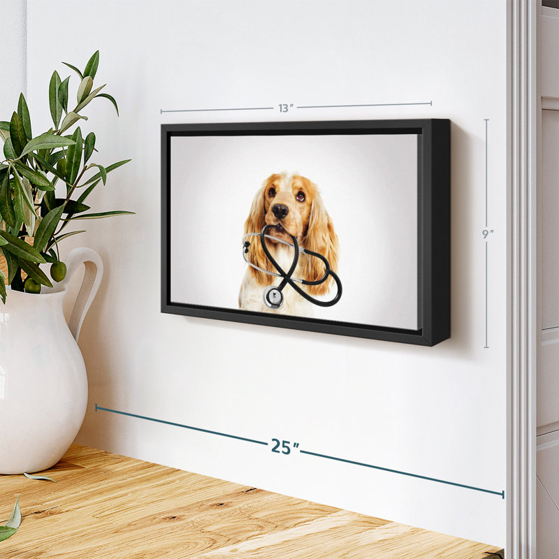 Animal «Doctor Dog», H 9 po x l 13 po
