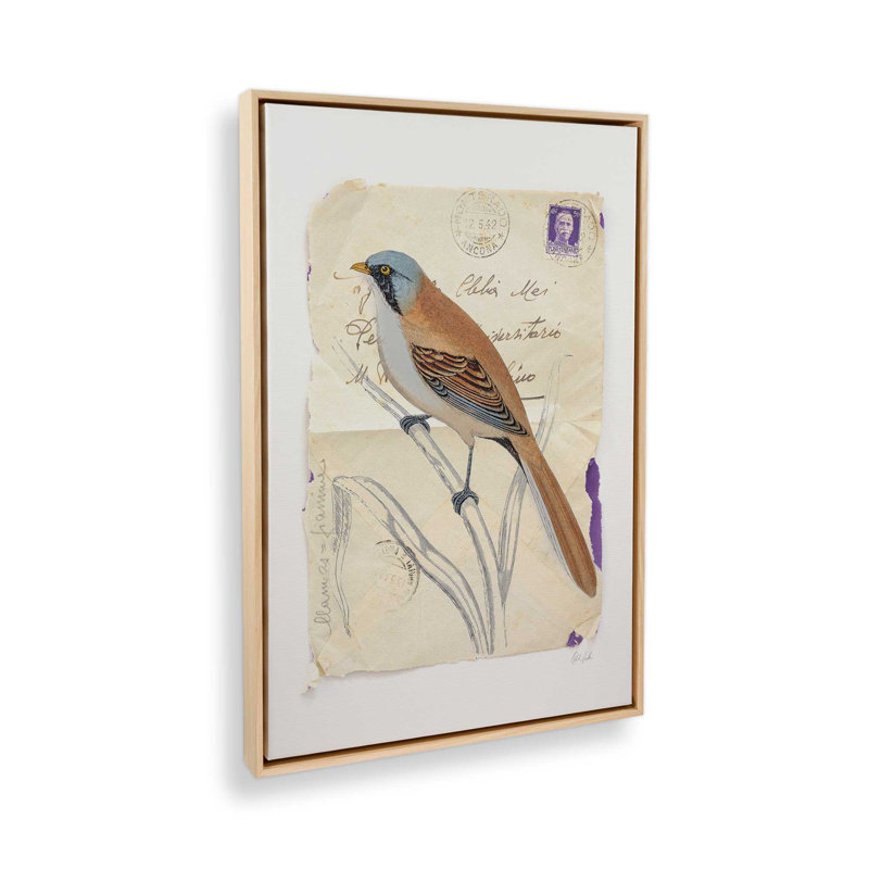 Reproduction d'art «Beardy Tit» par Deborah Revell, H 24 po x l 18 po, Cadre flottant, Tanné