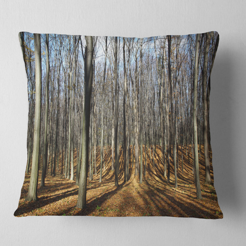 Shade from Sun in Autumn Forest - Coussin imprimé forêt, 16 po x 1 po, Coussin décoratif