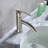 Single Hole Bathroom Faucet with Drain Assembly-20318009