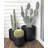 Dorlis Handmade Pot Planter-1541359034-1541359038