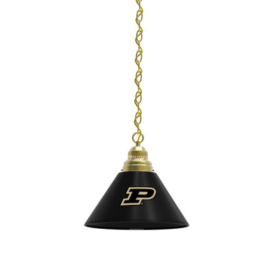 1 - Light Single Pendant