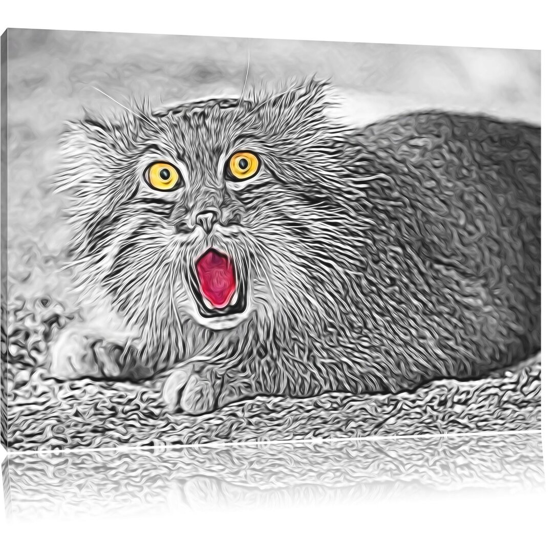 Leinwandbild Scheue Manul