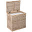 Yula Rattan Decorative Storage Trunk with Lid, Tall Size